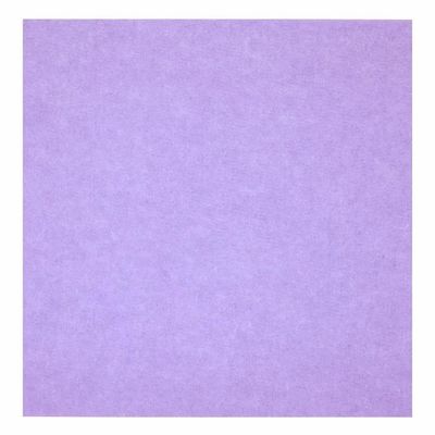 Panneau acoustique ignifuge Isolation acoustique PET Feuille acoustique pour taille personnalisée